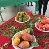 giornata_alimentazione_menfi_ott_2015_16
