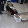 orientamento_g_di_finanza_4