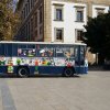 pigotte9