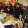 san_giuseppe_2016_54