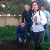 albero_melograno_5
