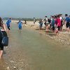 foce_platani_43