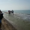 foce_platani_46
