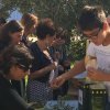 giornata_alimentazione_5