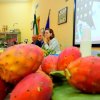 giorn_mond_alimentaz_1