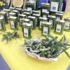 giorn_mond_alimentaz_18