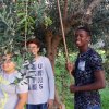 gust_olio2_2