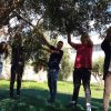 gust_olio2_4
