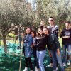 gust_olio2_5