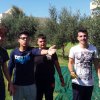 gust_olio_9