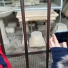 gita_campania_25