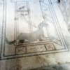 gita_campania_29