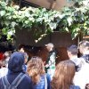 cavallo_amico_2
