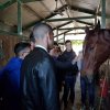 Progetto d&#039;inclusione &quot;Un cavallo per amico&quot;