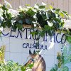 Progetto d&#039;inclusione &quot;Un cavallo per amico&quot;