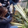 Prima Giornata Ecologica