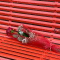 Giornata internazionale contro la violenza sulle donne