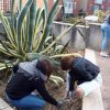 giornate_ecologiche_1