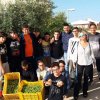 gustare_olio_15