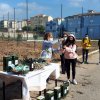 Inaugurazione uliveto Sant&#039;Antonio